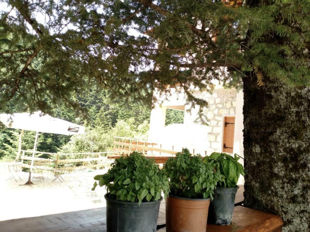 La Locanda Ξενοδοχείο Παύλιανη Εξωτερικό φωτογραφία